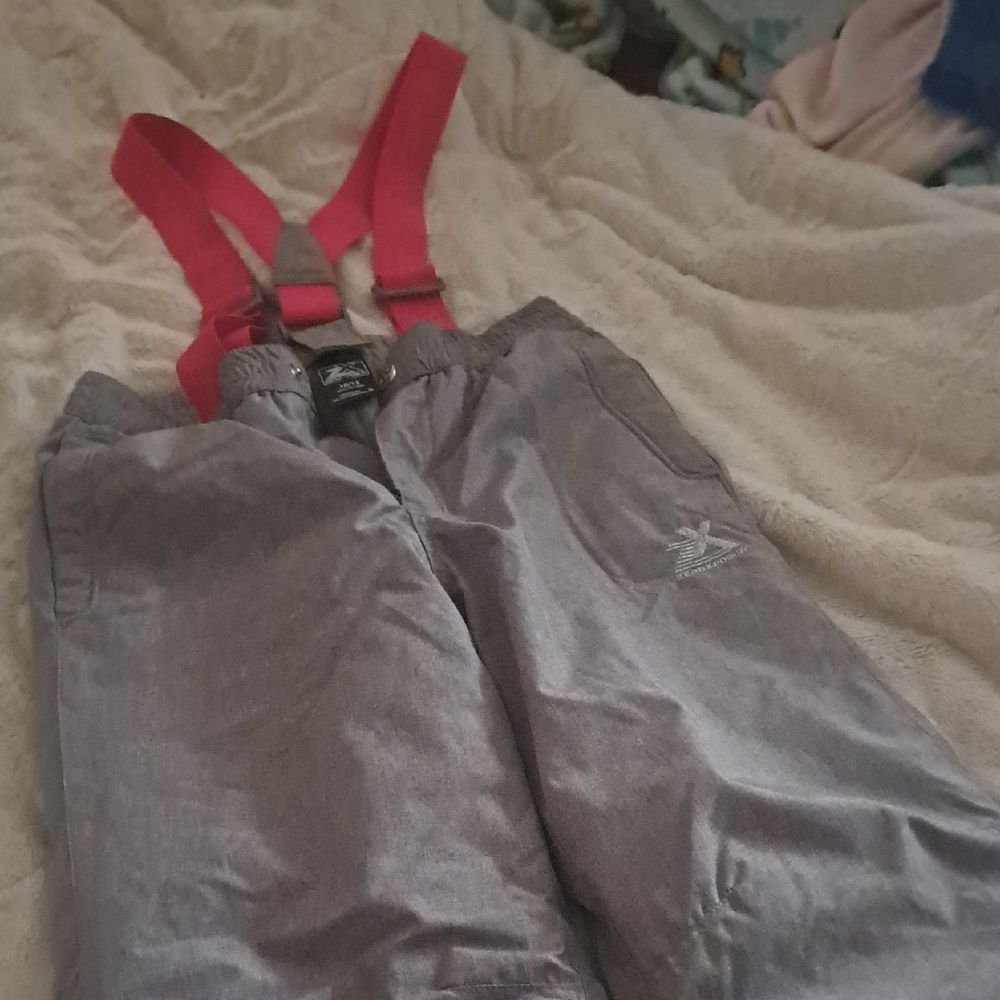 ZeroXposur Stylish Gray Pants